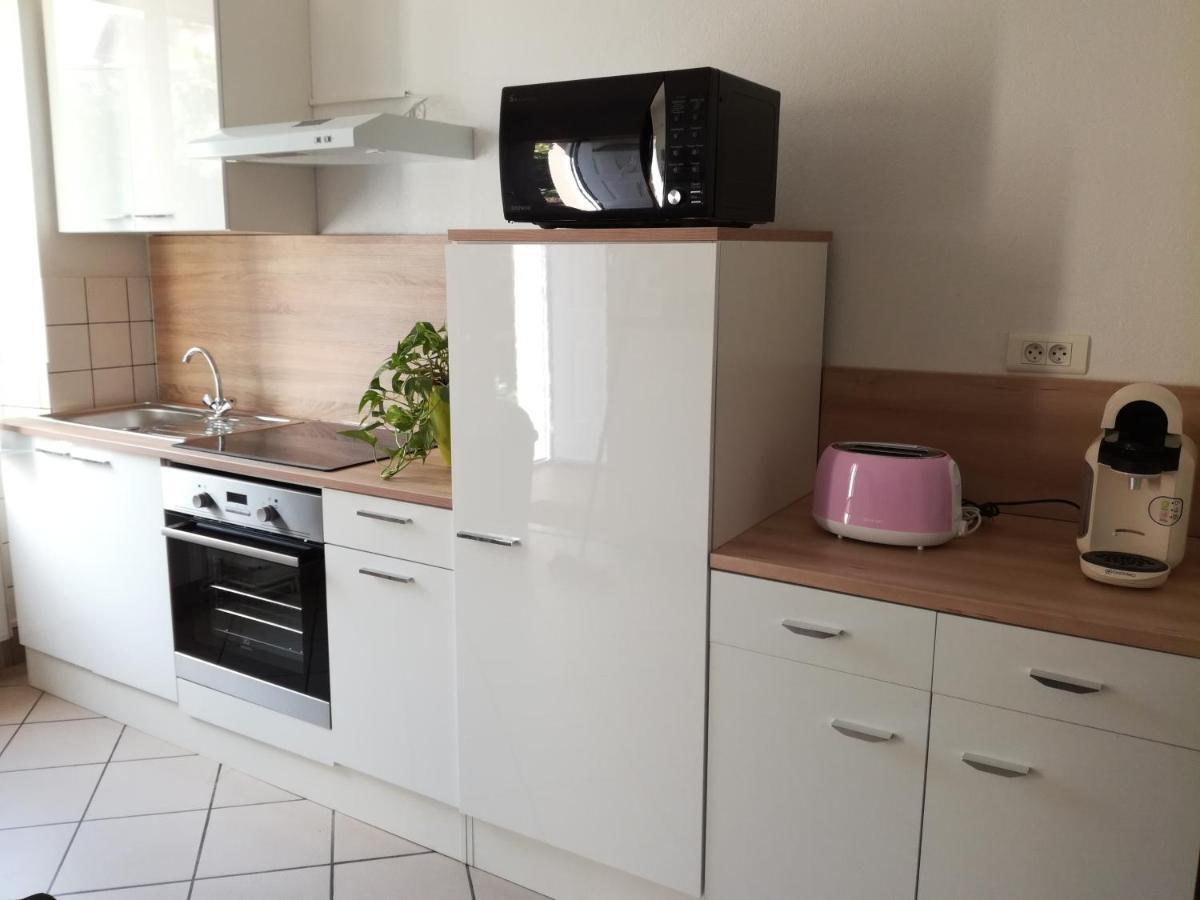 Appartement Avec Jardin A Colmar Ngoại thất bức ảnh